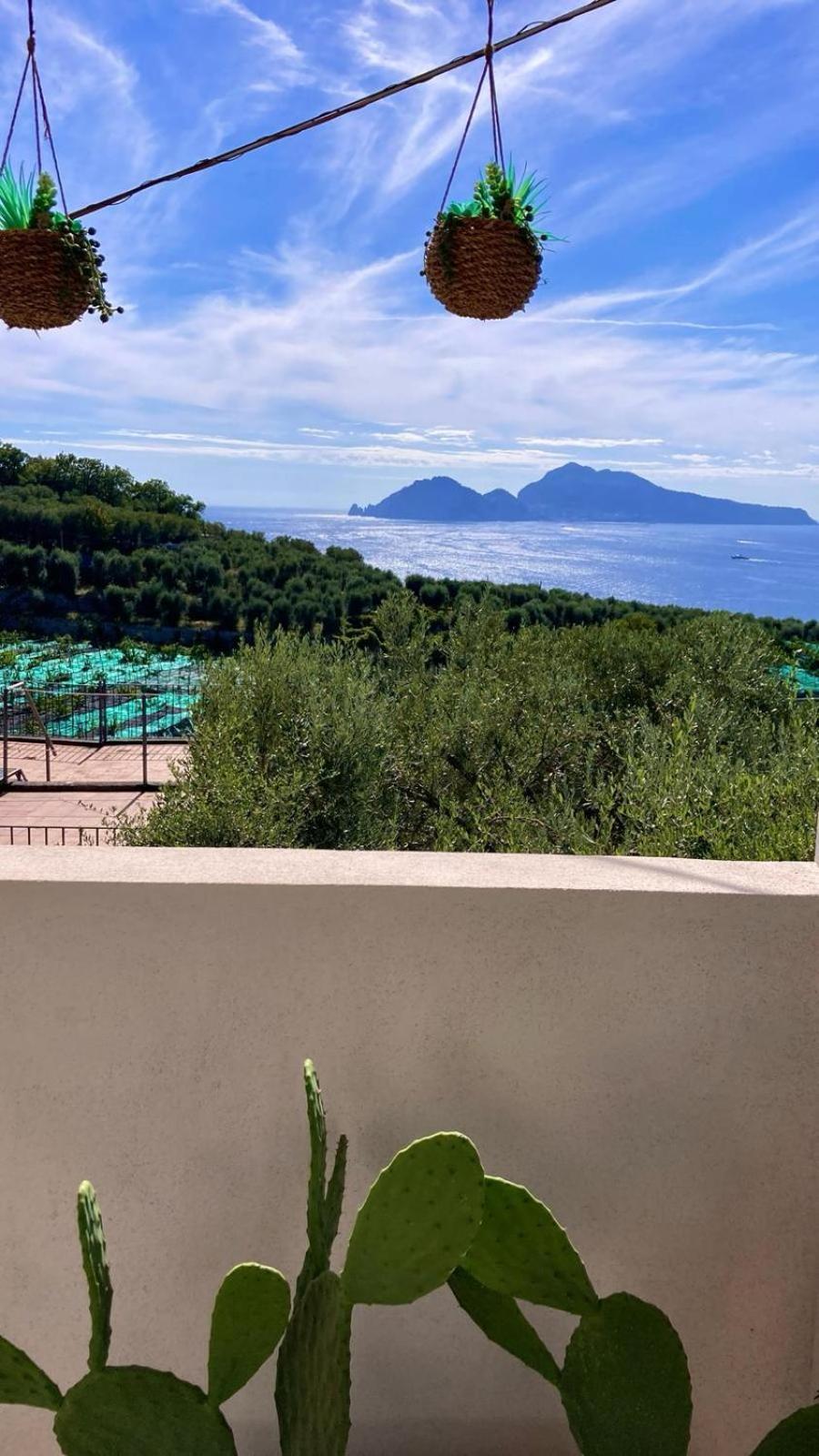 Villa Manu Massa Lubrense Kültér fotó