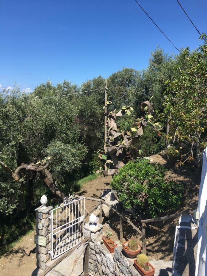 Villa Manu Massa Lubrense Kültér fotó